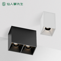 Mr. Cactus Square LED Downlight household DART light household fighting lamp aisle crossing corridor light double-headed ceiling spotlight