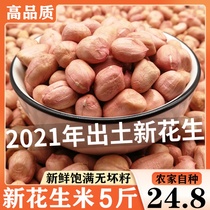 2021 pink skin raw peanuts Fresh peanuts 5 kg new goods without shell super large peanut kernels
