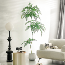 Jacaranda simulation green plant high-end light luxury fake tree bionic flower plant indoor potted decoration living room floor-to-ceiling decoration