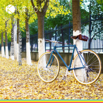 Kolor kale 2019 new vintage bicycle city commuter car straight road car shift light and simple