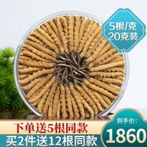 Tibet Naqu Cordyceps sinensis 5 root grams 20 grams 100 Cordyceps dry gift box gift gift