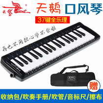 Swan brand mouth organ full music theory 37 keys 32 keys children beginner students to play the piano in teaching