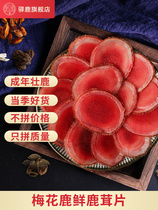 2021 fresh pilose antler northeast plum blossom pilose antler horn pruning cut red powder blood tablets specialty soup wine