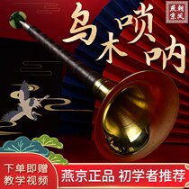 Ebony suona beginner entrance D professional performance National playing instrument ACEF down B adjustment big and small horn