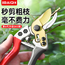 100 flags gardening scissors Pruning scissors Fruit tree scissors Flower branches special scissors Branch scissors Garden floral scissors Fruit picking artifact