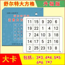 Schult checkered big card attention training kindergarten attention ADHD anti-Alzheimers educational toy