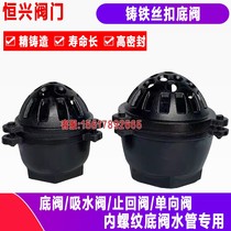 Suction pump bottom valve Internal thread thread suction valve Cast iron check valve DN25 40 50 65 80 10