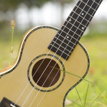 Poetry enjoys four-string guitar 23 inch ukulele Uklele original wood color spruce single board with tail nail