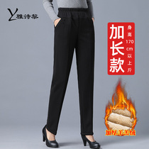 Longer mother pants children autumn and winter plus velvet thickened outer lamb wool loose straight cotton pants middle-aged and elderly womens pants