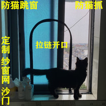 Screen window anti-cat jumping screen screen self-installed anti-cat jumping window net cat protection balcony door window sealing net cat