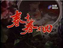 DVD machine version Spring to Spring and Back to Taiwan (TV version)] Liu Songren Ma Jingtao 40-episode 10 discs