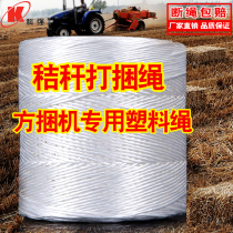 Factory direct Leivo side baling machine binding rope plastic baling grass rope straw binding rope