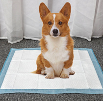 Dog diaper diaper diaper wet golden hair large medium thickness deodorant diaper Teddy puppy absorbent pad pet supplies