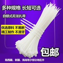 Nylon tie self-locked snapback tie wire bale with fixed strapping white plastic ribbon beamline with strangleway dog