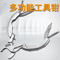 Stainless steel keychain mini carp pliers multifunctional fish nose pliers screw pliers fish mouth pliers fish tail removal pliers small