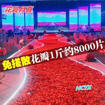 Net Red Proposal Arrangement Outdoor Tanabata Red Petals Pavement Road Citation Materials Wedding Scene Ceremony Wedding
