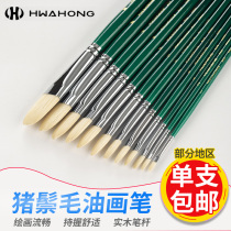 South Korea imported Hwahong Hua Hong oil brush watercolor gouache propylene brush bristle oil brush 808 series