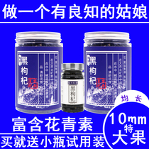 Big fruit black wolfberry brewed authentic Qinghai large grain structure Jizi non-Ningxia super wild gou structure tea male kidney black