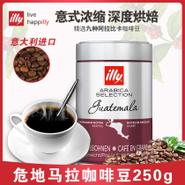 illy Italy imported selected Guatemalan Arabica black coffee beans 250g canned