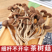 Tea tree mushroom dry fresh wild unopened umbrella soup small mushroom farm new local specialty wholesale 250g