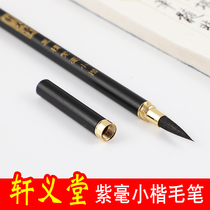 Xuan Yitang Black Tip Zi Hao High-end Small Kai Mushan Yushan Rabbit Black Tip Pearl Tip Purple Mill Kai Ancient Pen Making Dun Tip Craft Professional Small Kai Creation Pen Craft Pen