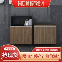 Dio Mingbing Furniture Office File Cabinet Small Cabinet Archives Bookcase Wooden Simple Floor Locker