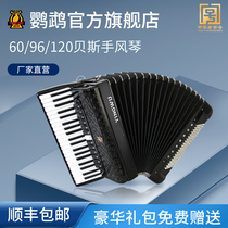  Parrot accordion 60 96 120 bass three or four rows of springs Beginner children adult exam professional playing musical instrument