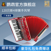  Parrot brand MINI 9968 accordion 41 keys 120 bass adult exam beginner playing musical instrument