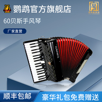 Parrot YW-823 accordion 34 keys 60 bass Beginner instrument Beginner adult professional performance examination