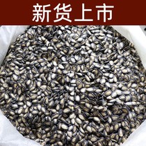 Raw watermelon seeds new products farmers self-planted melon seeds large pieces of black melon seeds raw bulk 5kg
