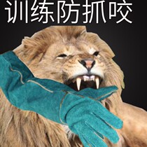 Pet anti-dog bite training cat dog pet bath anti-scratch anti-bite cleaning massage gloves massage brush cowhide thickening