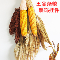 Nongjiale decoration corn pendant wheat ear Rice ear dried flower grain grain garden crop harvest