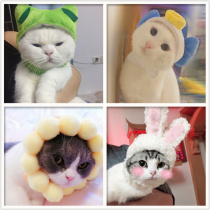 Cat helmet hat Dog headgear Pet headdress Performance props Cute shaking sound funny shape ear decorations