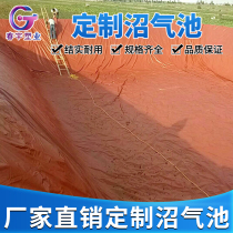  Digester Full set of equipment Household equipment Biogas bag Large thickened PVC red mud soft digester gas storage bag