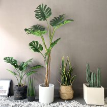 Nordic ins wind simulation turtle back leaf potted indoor landing large-scale landscaping fake plant green plant turtle back bamboo ornaments