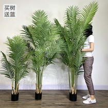 Nordic ins simulation large indoor green plant bonsai ornaments scattered tail Kwai Hotel shopping mall window decorations
