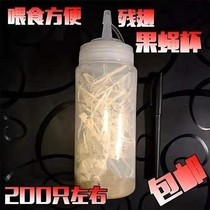 Mantis feed food Breeding Toad song insect bait feeding box Nutrition homemade squeeze bottle Gecko Grasshopper pet