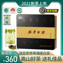 2021 New Tea Anji White Tea Gift Boxes Premium Canned Gift Tea Green Tea Send Elders Leaders