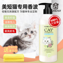 Cat mummy body lotion for short special balsamic shampoo deodorant for mites anti-mites Bath Lotion Young Cat Pet Kitty Bath supplies