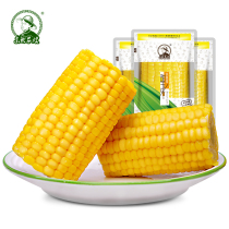 Northeast farmers sister-in-law fruit corn 10 sections open bag ready to eat fast food non-GMO vacuum bag fresh sweet corn cob
