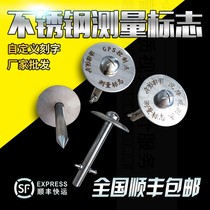 Settlement observation nail point 304 stainless steel measuring Mark horizontal point GPS Control Point cross mapping nail measuring nail