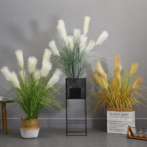 Emulated reed grass net red dry flower green plant Nordic wind living room shop window floor swinging potted plant ins dog tail grass
