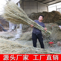 Small Bamboo Broom big broom sanitation Road sweeping the street the home courtyard broom bamboo construction site outdoor