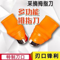 Multifunctional Thumb Knife Kitchen Pick-up Vegetable Pinch of Divine Instrumental Agricultural Fruits And Vegetables Plucked Pepper pepper Special protective chia food fingertips