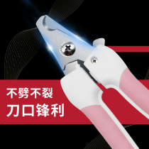 An artifact for Cat nails. Cat paw trimming method. Nail Clippers dog nail clippers full dog universal pliers