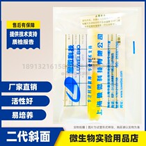 Aspergillus Niger CMCC(F)98003]Standard strain quality control experimental strain bevel culture 2nd generation