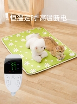 Pet Electric Blanket Dogs Cat Nest Heating Mat Thermostatic Pet Mat Warm Small Warmer Electric Bedding Heating Mat