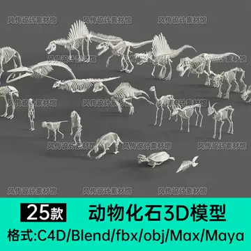 动物骨头模型-动物骨头模型促销价格、动物骨头模型品牌- 淘宝
