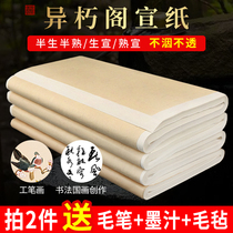 Immortal Pavilion Half-cooked Xuan Paper Calligraphy Special Paper 100 Four-foot Fang Chinese Painting Gongpai Painting Beginner Calligraphy Special Trainee Xuan Paper Jin Xuan Paper Writing Calligraphy Practice Paper