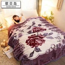 Blanket thick double layer Raschel quilt single double coral blanket autumn and winter sheets student wedding cover blanket